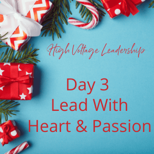 Day 3 – The 12 Days Of Leadership
