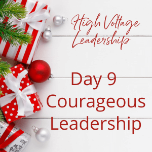 Day 9 – The 12 Days Of Leadership