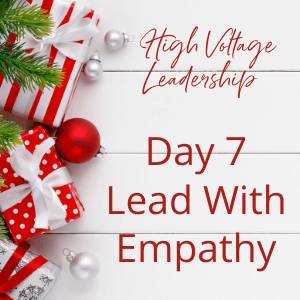 Day 7 – The 12 Days Of Leadership